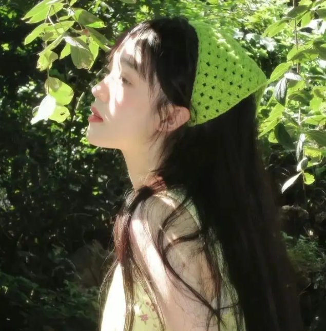 荣归之龙有逆鳞